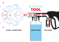 Steam Cleaning Kill Germs and Viruses