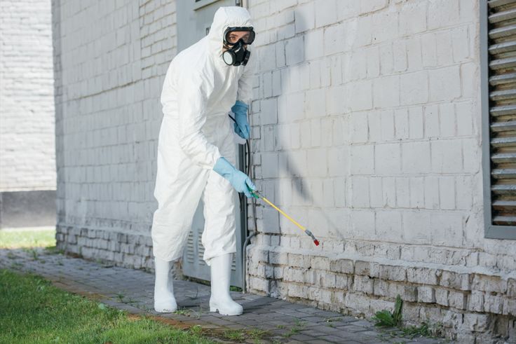Pest Services