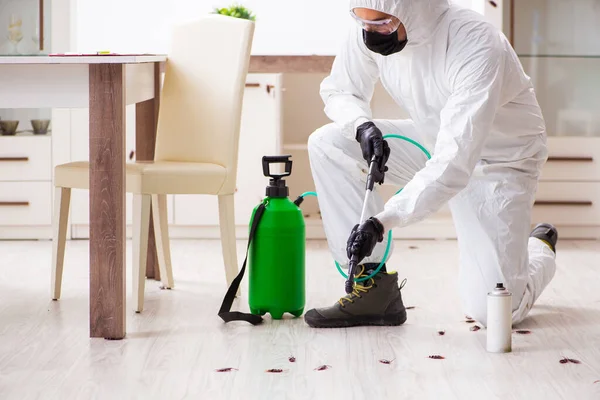 pest control prices
