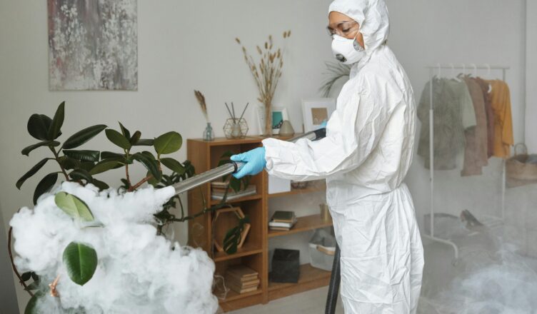 Pest Control services in Winnipeg